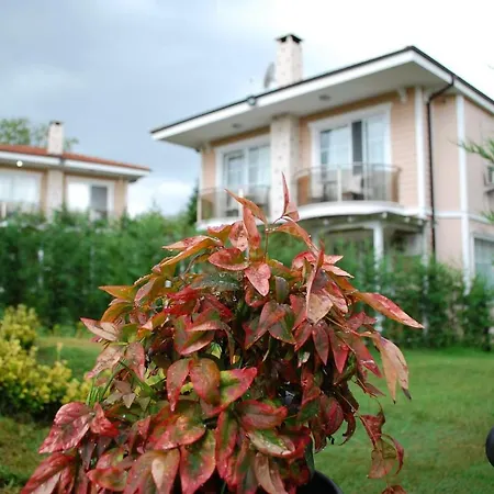 La Mira Villa Sapanca